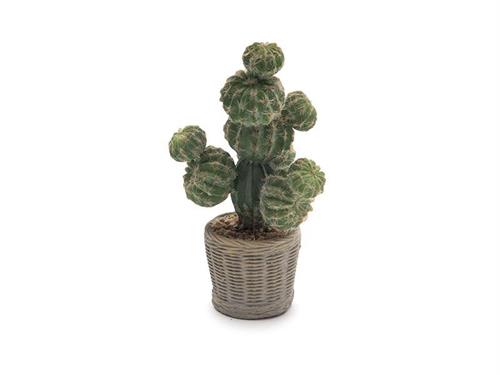 PIANTA CACTUS C/VASO CESTINO CEMENTO CM32 VERDE