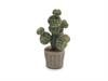 PIANTA CACTUS C/VASO CESTINO CEMENTO CM32 VERDE