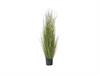 PIANTA MISCANTHUS CM120 VERDE