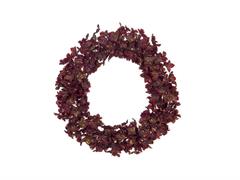 CORONA ORTENSIA GOLDEN D55 BORDEAUX