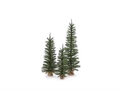 SET 3 ABETI SIBILLINI H90-120-150 C/BASE JUTA VERDE