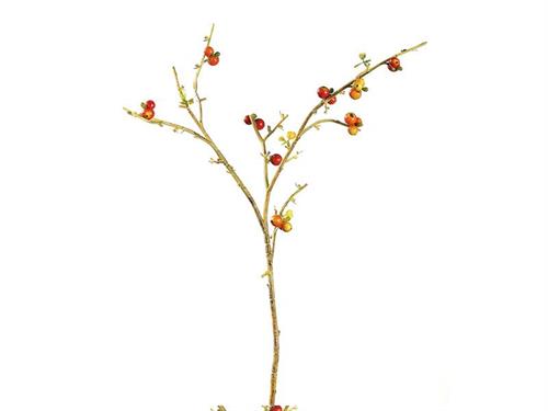 RAMO BACCHE APPLE CM77  ROSSO