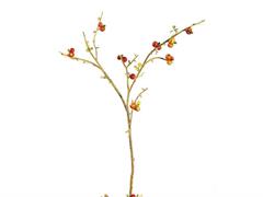 RAMO BACCHE APPLE CM77  ROSSO