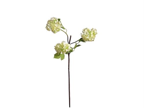 SNOWBALL X3 CM69  BIANCO