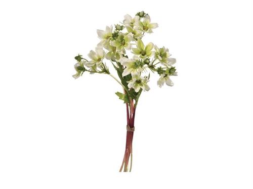 BUNDLE COSMOS X6 CM35 BIANCO (SU ARTCOD.EAN ERRATO 8005001042273)