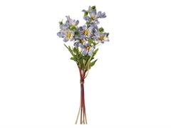 BUNDLE COSMOS X6 CM35 BLU