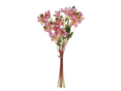 BUNDLE COSMOS X6 CM35 ROSA