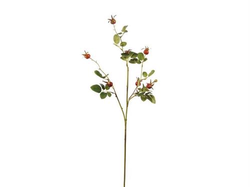 RAMO BACCHE DI ROSA CM77 ARANCIO