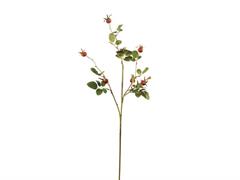 RAMO BACCHE DI ROSA CM77 ARANCIO