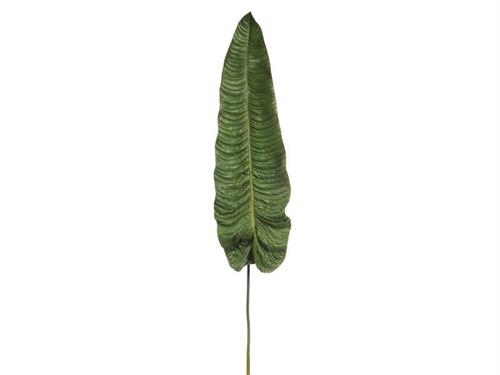 FOGLIA ANTHURIUM VEITCHII CM155 VERDE
