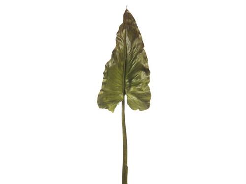 FOGLIA COLOCASIA CM110 VERDE