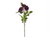 TRALCIO ROSELLINE X4 CM50 PURPLE