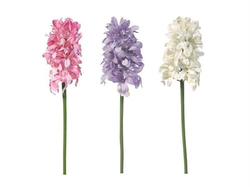 GIACINTO AMY CM33 ASS