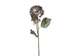 BACCHE ORTENSIA CM60 MARRONE