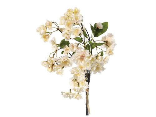 BUNDLE CILIEGIO X3 CM45 CREMA