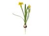 NARCISO DORIS C/BULBO CM35 GIALLO