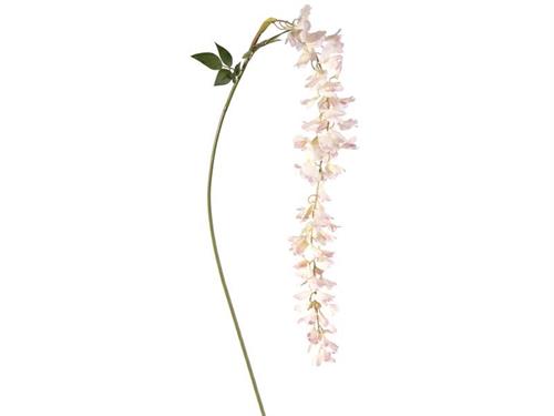 CADENTE GLICINE CM140 ROSA