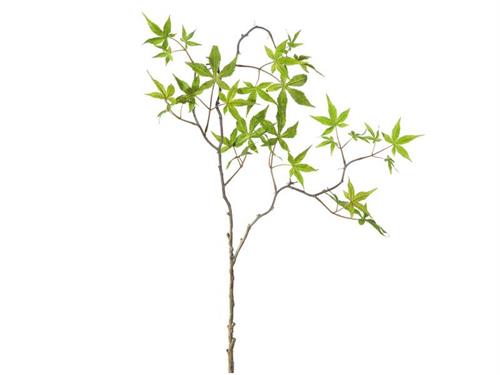 RAMO ACERO CM86 VERDE