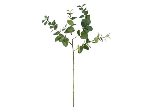 RAMO EUCALIPTUS LORY CM95 VERDE
