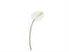ANTHURIUM WENDY CM45 BIANCO