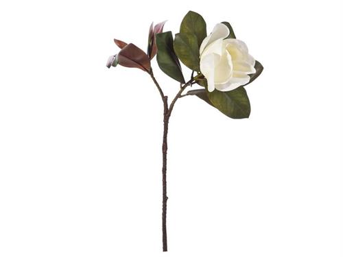 MAGNOLIA ELITE X1 CM70 BIANCO