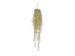 CADENTE TILLANDSIA CM70 VERDE