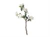 TRALCIO GARDENIA X5 CM68 BIANCO