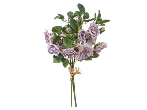 BUNDLE X3 ROSE VENERE CM36 LILLA