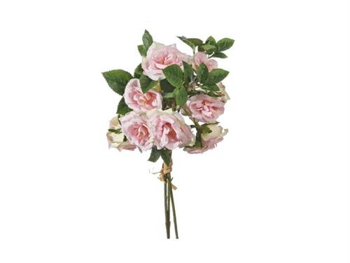 BUNDLE X3 ROSE VENERE CM36 ROSA