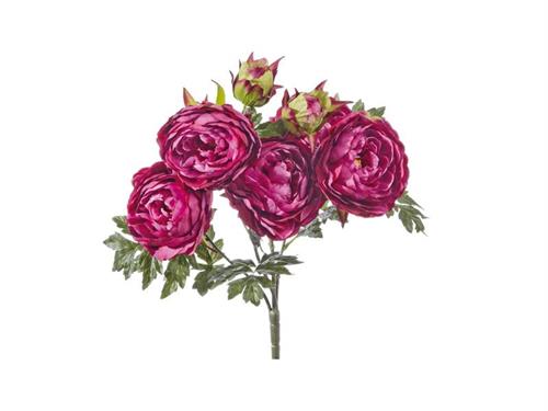 BUSH PEONIA ROSY X7 CM65 BEAUTY