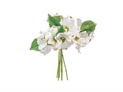 BUNDLE CORNIOLO X6 CM28 BIANCO