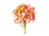BUNDLE AMARYLLIS X3 CM38 ARANCIO