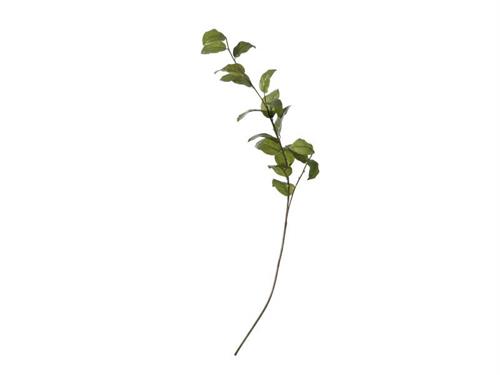RAMO FOGLIE CAMELIA CM115 VERDE