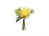 BUNDLE PEONIA MIMMY X7 CM28 GIALLO