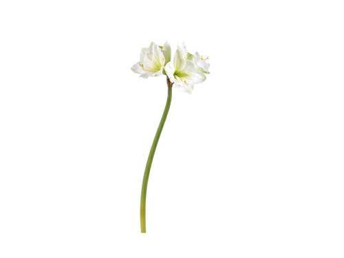 AMARYLLIS 3D CM76 BIANCO