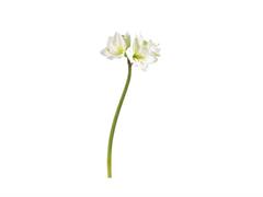 AMARYLLIS 3D CM76 BIANCO