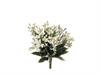 BUNDLE STEPHANOTIS CM25 BIANCO