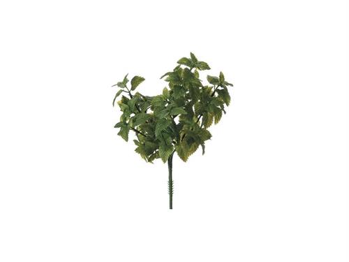 BUSH MENTA X5 CM30 VERDE