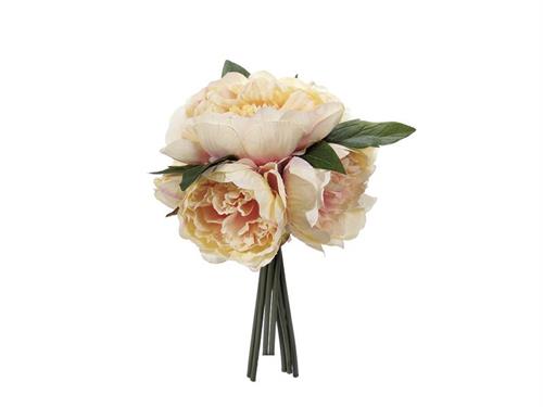 BUNDLE PEONIE SUSY X7 CM30 SALMONE