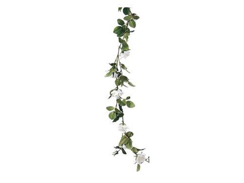 GARLAND ROSE MARY CM150 BIANCO