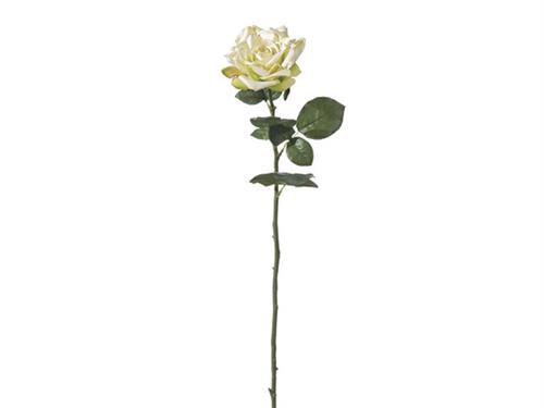 ROSA INGLESE CM70 TOUCH DELUXE BIANCO-VERDE