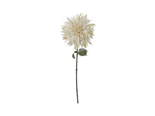 DALIA SANDY CM71 BIANCO