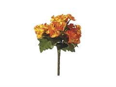BUSH BEGONIA CM25 ARANCIO