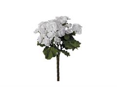 BUSH BEGONIA CM25 BIANCO