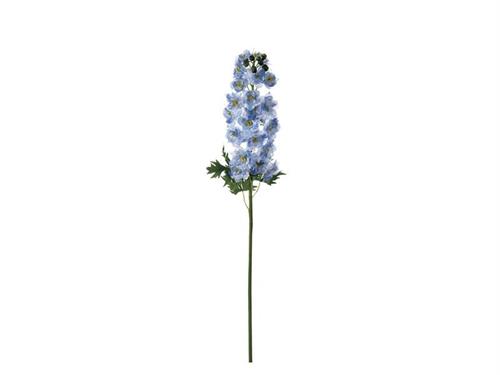 DELPHINIUM ROMANCE CM106 CELESTE