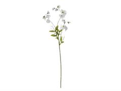 FIORE DI PISELLO CM75 BIANCO