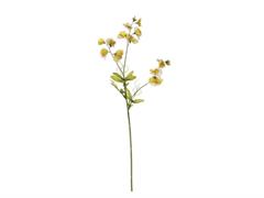 FIORE DI PISELLO CM75 GIALLO