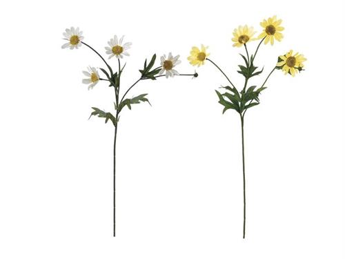 RAMO MARGHERITE X4 CM49 ASS BIANCO/GIALLO