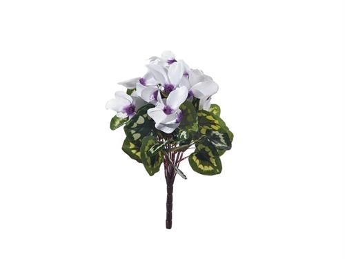 BUSH CICLAMINO X12 CM32 BIANCO