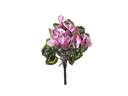 BUSH CICLAMINO X12 CM32 ROSA